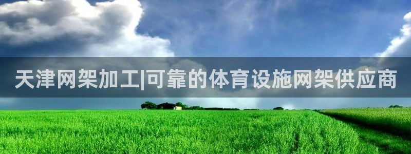 意昂3代理：天津网架加工|可靠的体育设施网架供应商