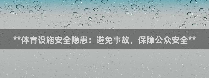 意昂3五金厂：**体育设施安全隐患：避免事故，保障公