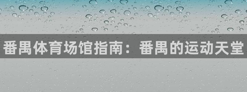 意昂3娱乐平台：番禺体育场馆指南：番禺的运动天堂